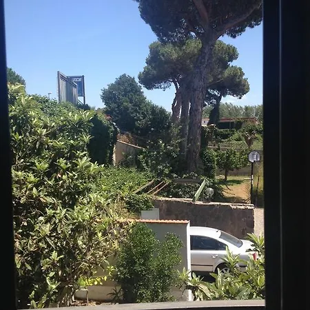 Nini *